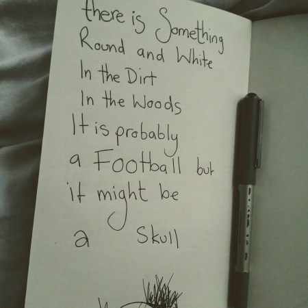 Probably a football